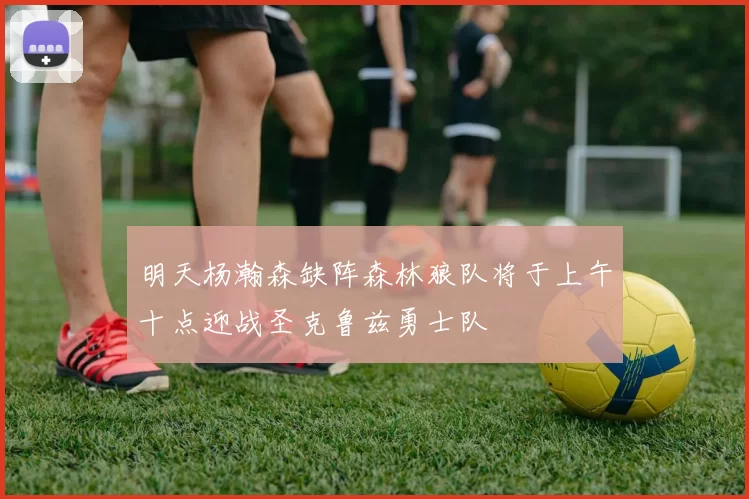 明天杨瀚森缺阵森林狼队将于上午十点迎战圣克鲁兹勇士队
